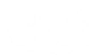 berber logo
